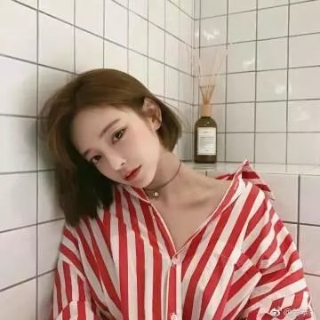 美国派:高潮再起